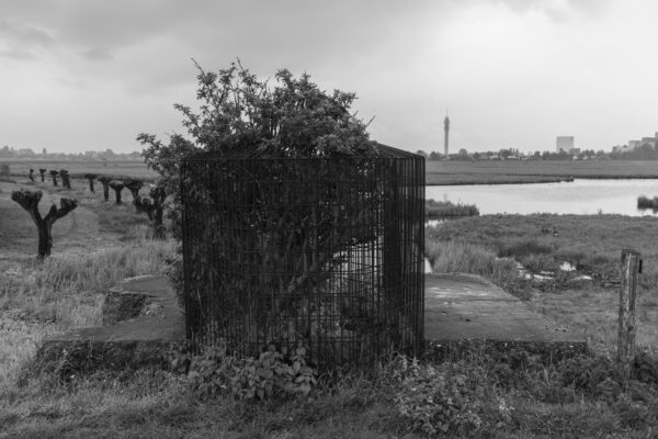 Oostknollendam I (Het Land series) - Image 2
