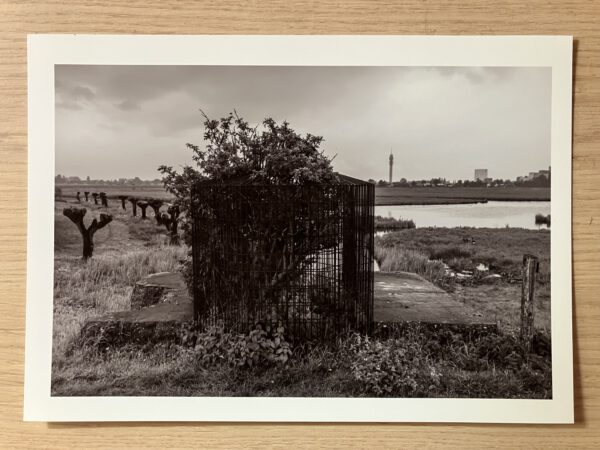 Oostknollendam I (Het Land series)