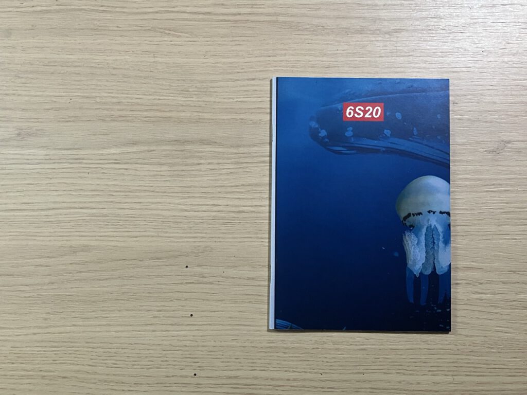 6S20