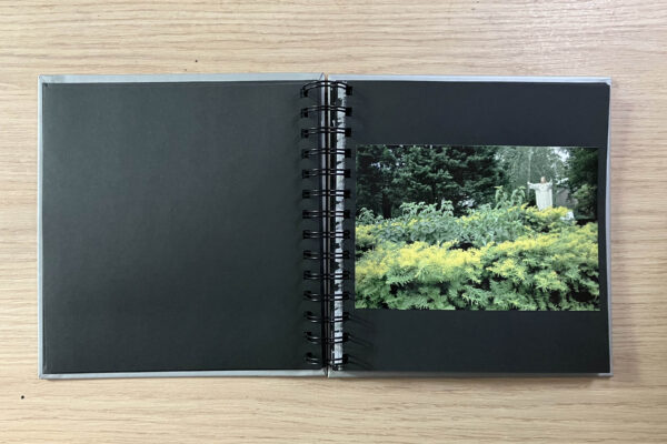 6M20-1 - Image 3