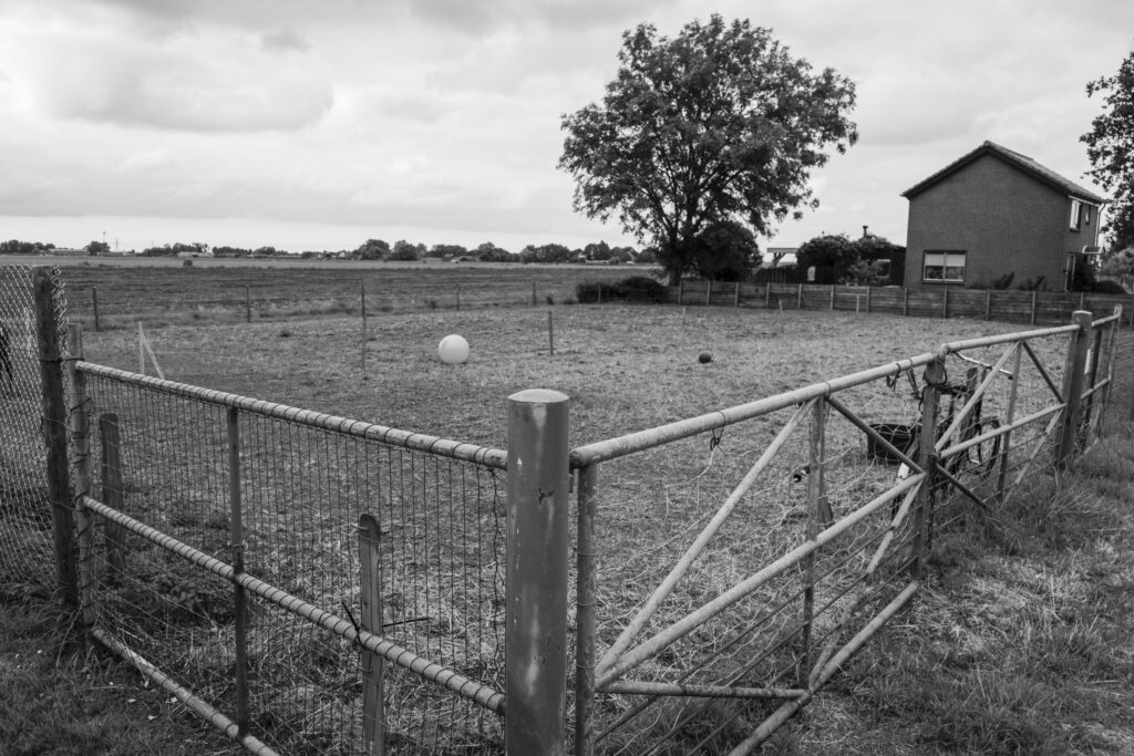 Manege op platteland bij Barsingerhorn, Noord-Holland - Fotografie poster A2