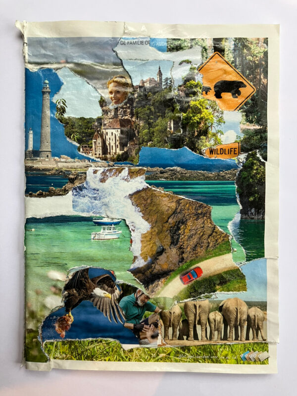 ANWB gids - 2025, collage van niek de greef