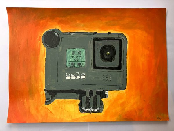 GoPro Hero 9, 2024 painting by niek de greef