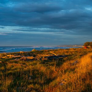 Carter's Beach by Niek de Greef