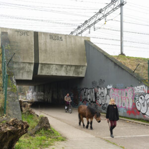Overbrakerpad, Amsterdam 2021 phototography print by Niek de Greef