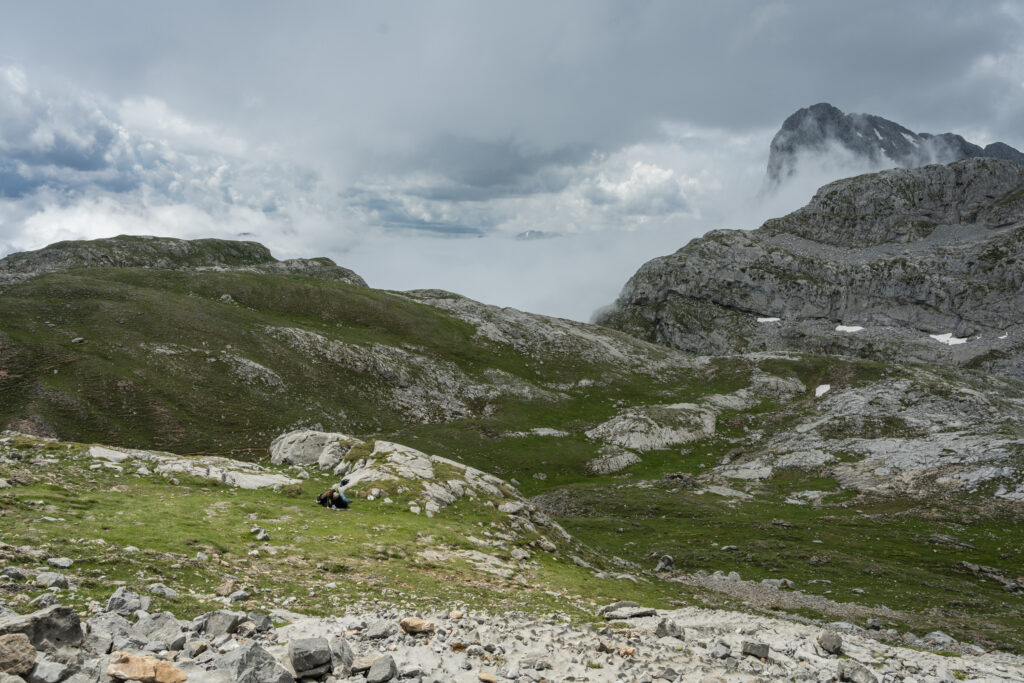 Picos de Europa, Spain phototography print by Niek de Greef