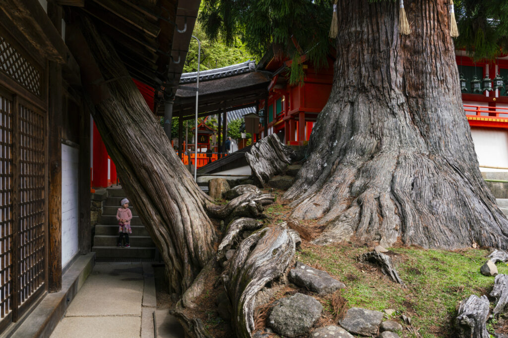 Temple in Nara, Japan, photography print by Niek de Greef