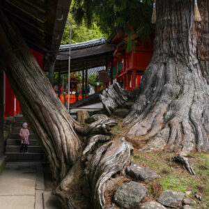 Temple in Nara, Japan, photography print by Niek de Greef