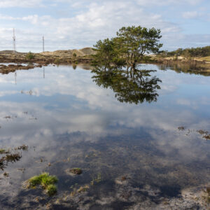 pirola vallei, schoorl phototography print by Niek de Greef