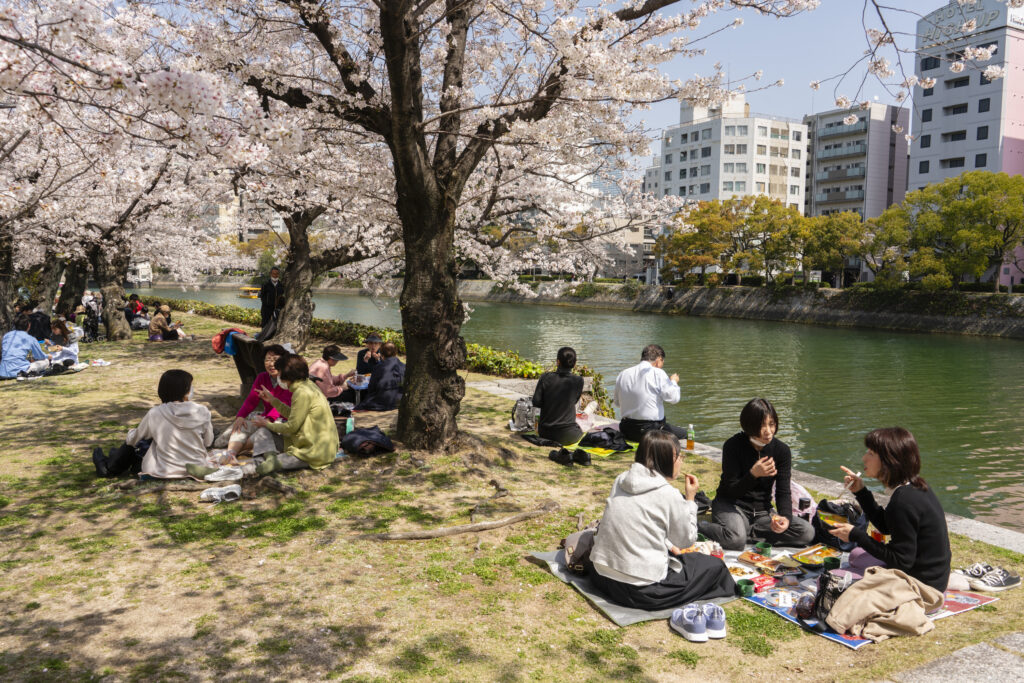 Sakura trees and families having lunch at Peace Memorial Park - Hiroshima, phototography print by Niek de Greef