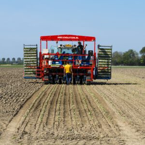 Kool planten bij Warmenhuizen Noord-Holland - Fotografie Niek de Greef